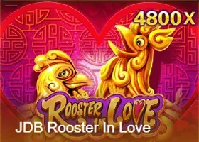 Rooster-In-Love